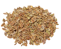 dill